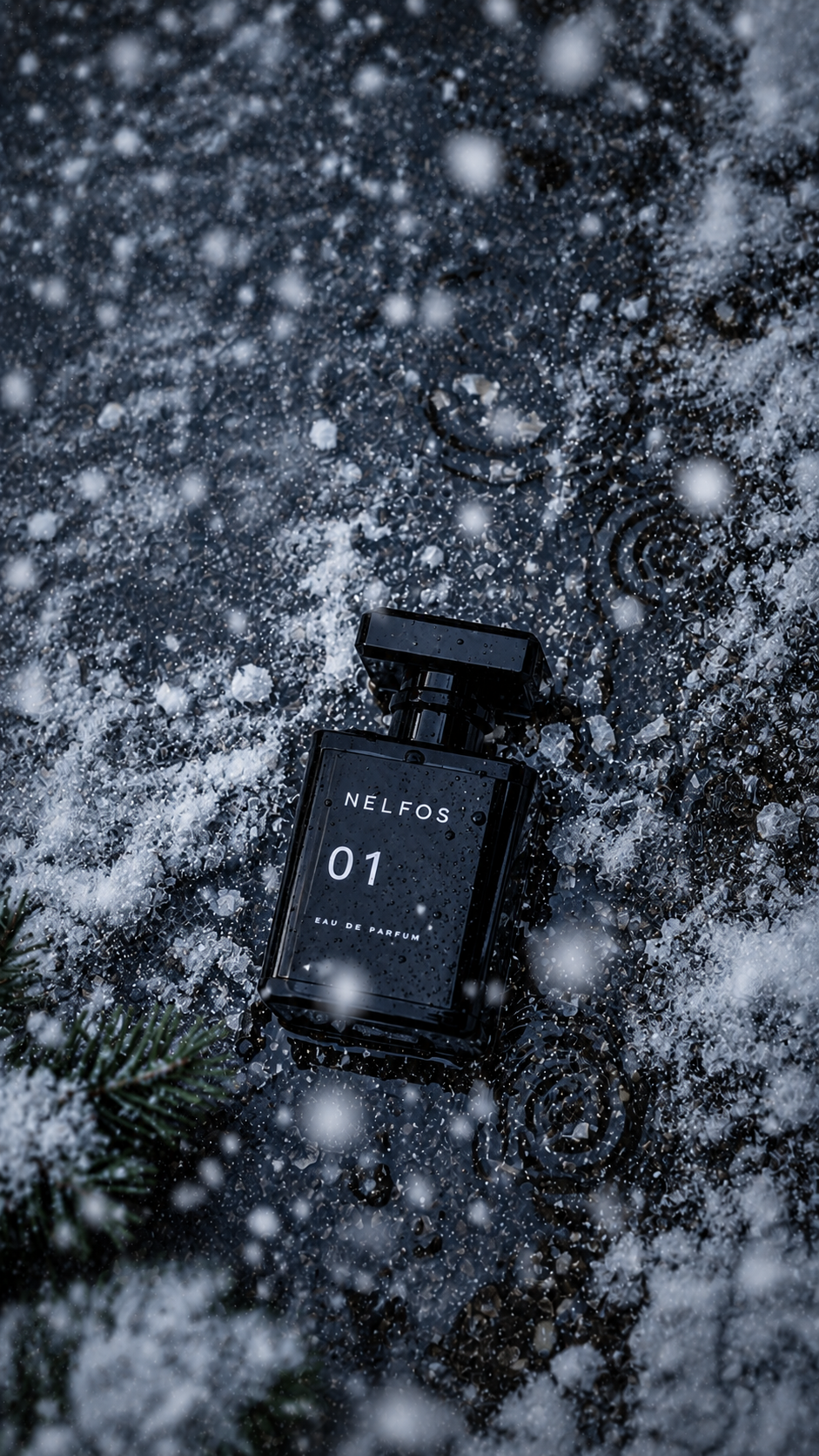 Nelfos 01